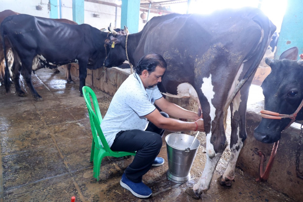1200 रुपये से शुरू हुआ सफर, आज 117 पशुओं की डेयरी; राकेश ने बदली गांव की तस्वीर
