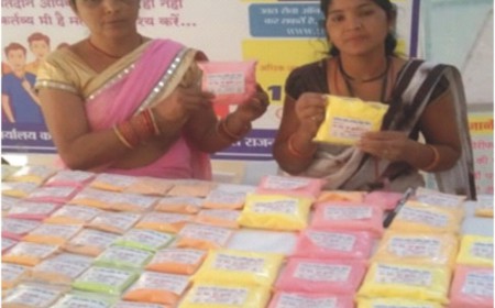 राजनांदगांव की लखपति दीदी दिनेश्वरी सोरी की कहानी, बिहान से जुड़कर 52 हजार से बढ़कर 1.50 लाख हुई सालाना आय