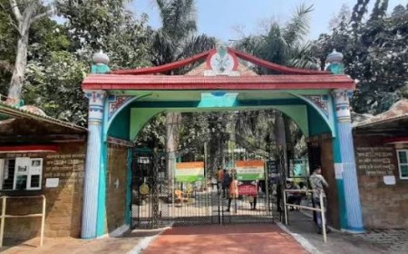 Nandanvan का होगा कायाकल्प, 50 करोड़ की लागत से PPP मॉडल पर बनेगा आधुनिक पर्यटन केंद्र