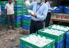 महाराष्ट्र में FDA का बड़ा एक्शन: पुणे संभाग के 5 जिलों में छापेमारी, 1.29 करोड़ का खाद्य तेल जब्त