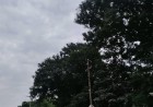 Chhattisgarh Weather Alert: तूफान ‘अर्नब’ के असर से छत्तीसगढ़ में भारी बारिश की आशंका, किसानों को फसल बचाने की सलाह
