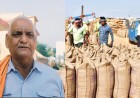 छत्तीसगढ़ में 15 नवंबर से शुरू होगी धान खरीदी, बिलासपुर के सरसेनी में खुलेगा नया केंद्र; 784 किसानों को मिलेगा लाभ