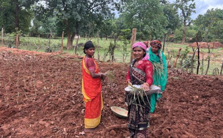 ग्राम अमारू की महिलाओं ने लेमन ग्रास की खेती से आत्मनिर्भरता की ओर बढ़ाया कदम