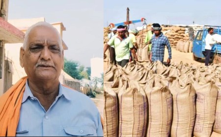 छत्तीसगढ़ में 15 नवंबर से शुरू होगी धान खरीदी, बिलासपुर के सरसेनी में खुलेगा नया केंद्र; 784 किसानों को मिलेगा लाभ