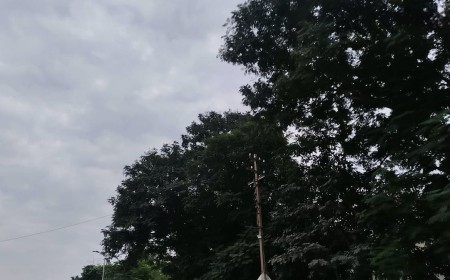 Chhattisgarh Weather Alert: तूफान ‘अर्नब’ के असर से छत्तीसगढ़ में भारी बारिश की आशंका, किसानों को फसल बचाने की सलाह