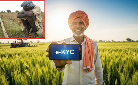 Wardha Farmer Loan Waiver 2026: वर्धा के 48,165 किसानों को कर्जमाफी का इंतजार, 14,976 खातों की e-KYC लंबित